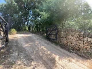 Jardín