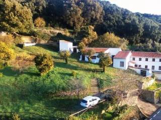 Vistas