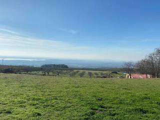 Vistas