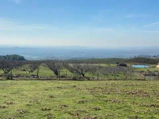 Vistas