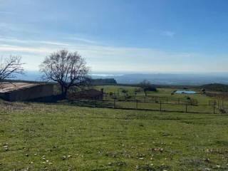 Vistas
