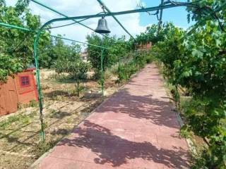 Jardín