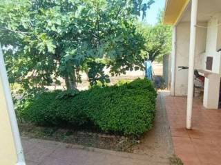 Jardín
