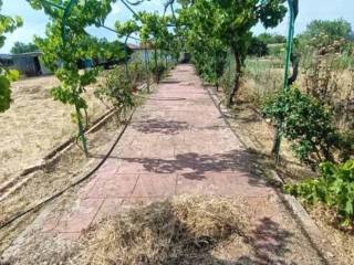 Jardín