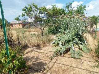 Jardín