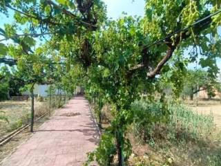 Jardín