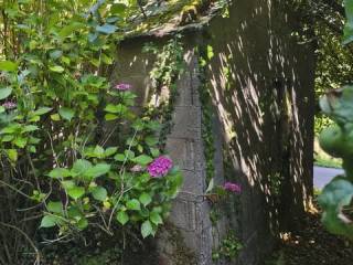 Jardín