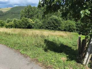 Jardín