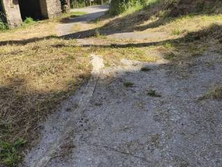 Jardín