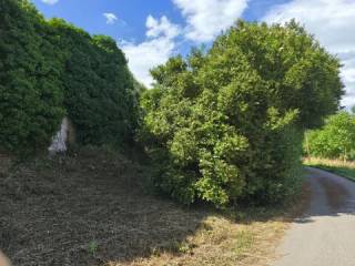 Jardín