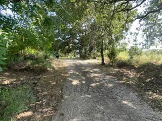 Jardín