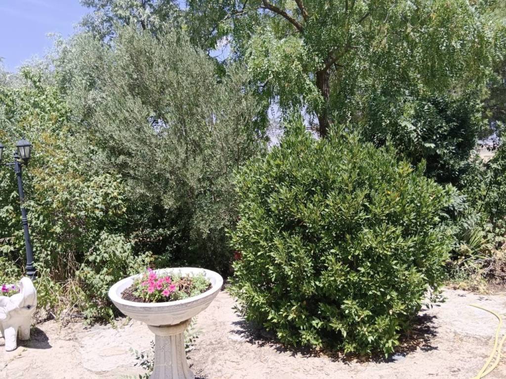 Jardín