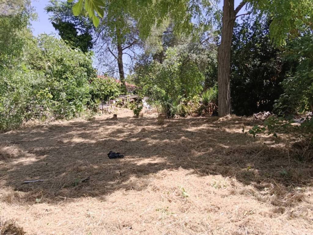 Jardín
