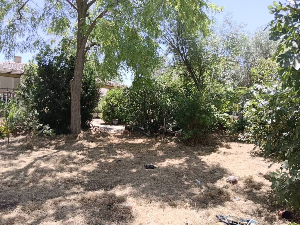 Jardín