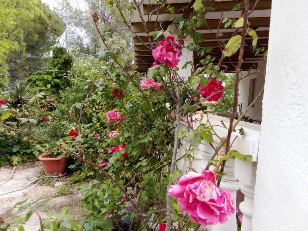 Jardín