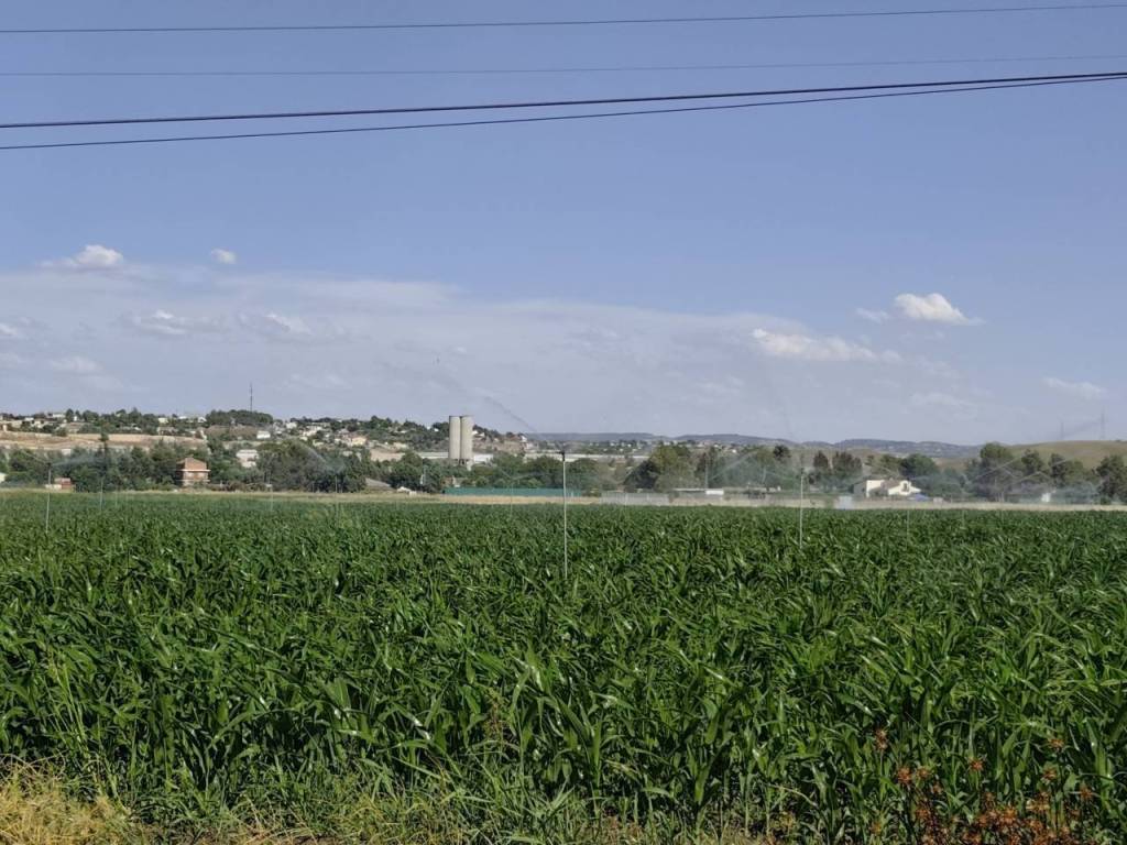 Alrededores