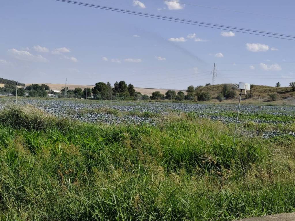 Alrededores