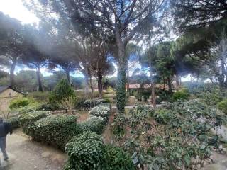 Jardín