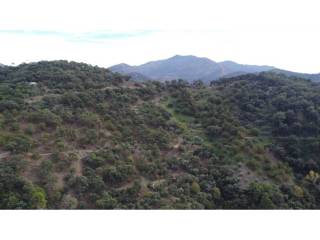 Vistas