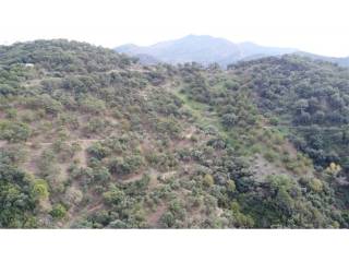 Vistas