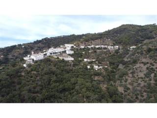 Vistas