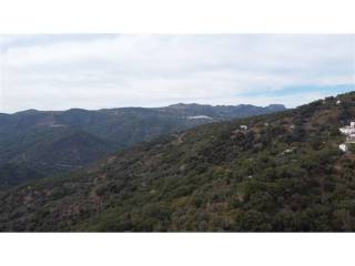 Vistas