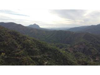 Vistas