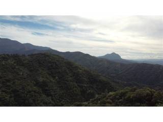 Vistas