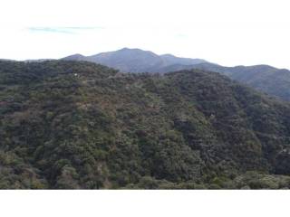 Vistas