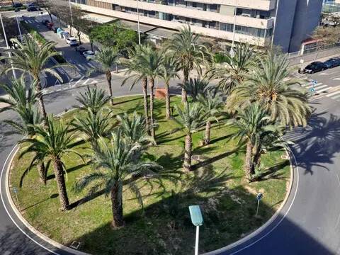 Jardín