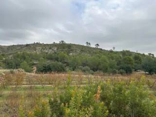 Vistas