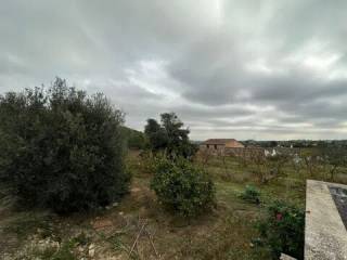 Jardín