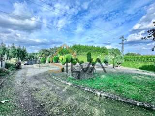 Jardín