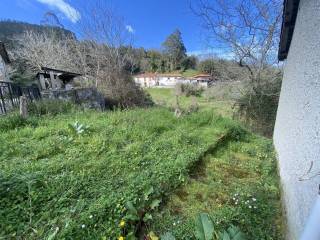 Jardín