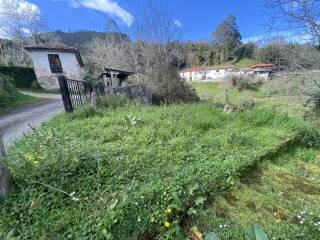 Jardín