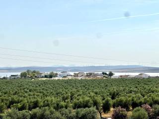 Vistas