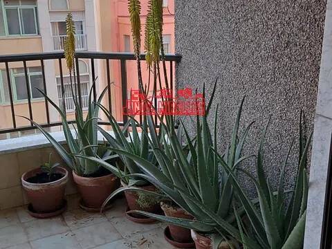 Desconocido