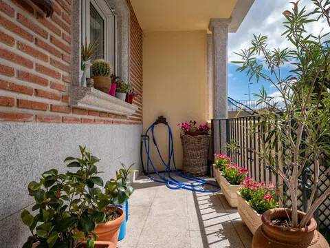 Terraza