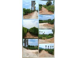 Vistas