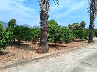 Jardín