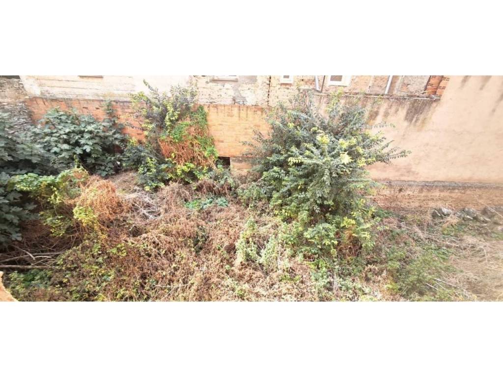 Jardín