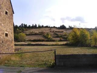 Jardín