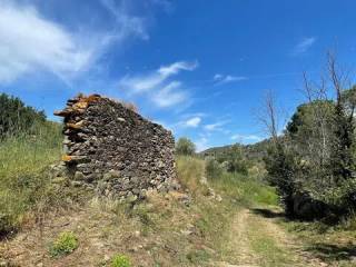 Vistas