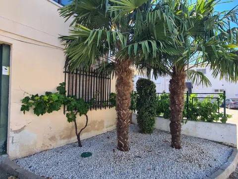 Jardín
