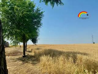 Vistas