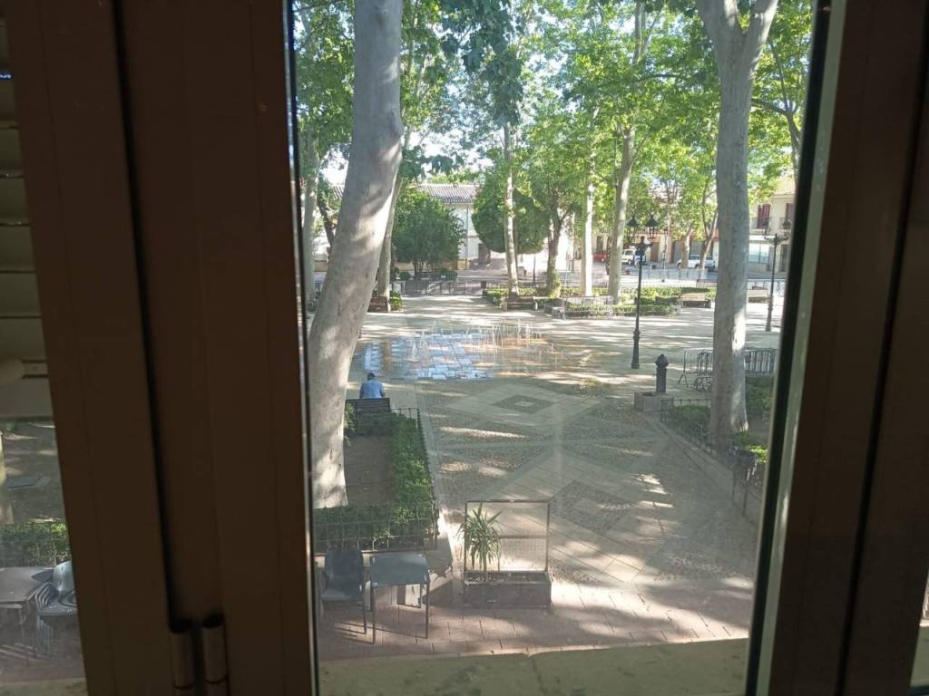 Vistas