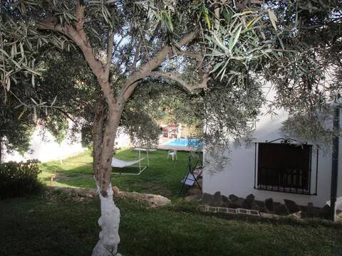 Jardín