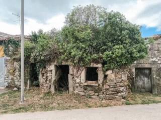 Jardín