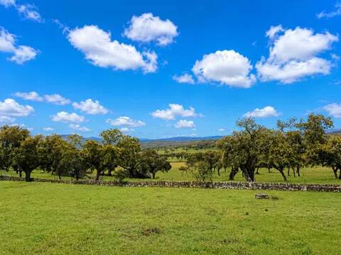 Jardín