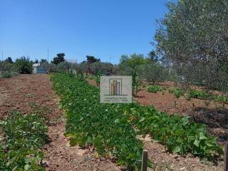Jardín